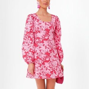 Tuckernuck Hyacinth House Sienna Mini Dress Pink Floral Long Sleeve Large NWT